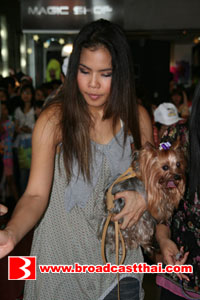 บรอดคาซท์ ไทยฯ  ส่งการ์ตูนฝีมือคนไทย "สตาร์ด๊อก" วีรบุรุษพันธุ์ด๊อก   ลงจอช่อง 3