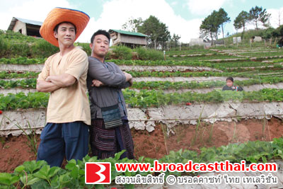 นักแสดง "มัจจุราชสีน้ำผึ้ง" ลั้ลลา ขึ้นดอยอ่างขางเก็บสตอเบอรี่สด ๆ จากต้น