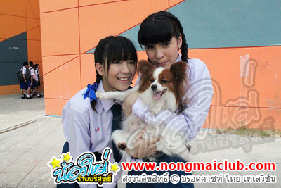 หัวใจ 4 ขา