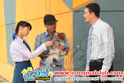 หัวใจ 4 ขา