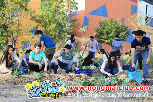 หากเราพอเพียง