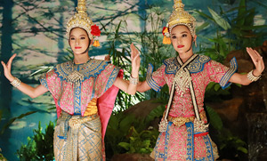 น้ำตาล-ณิชา