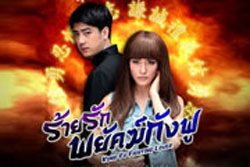 ร้ายรักพยัคฆ์กังฟู