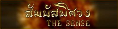 สัมผัสพิศวง The Sense